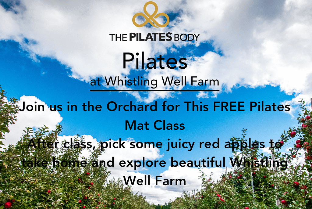Pilates In Orchard