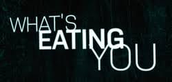 whats eating you