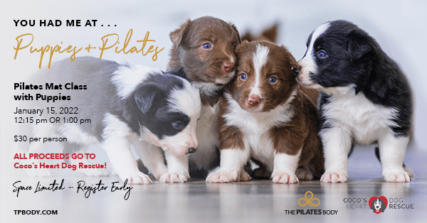 Pilates And Puppies