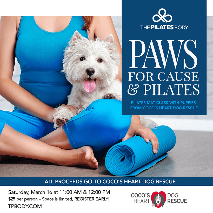Pilates With Puppies!